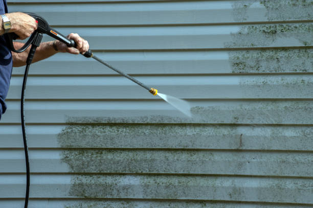 Best Patio and Deck Pressure Washing  in Bunnell, FL