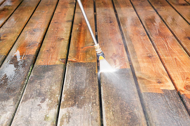 Best Dumpster Area Cleaning  in Bunnell, FL